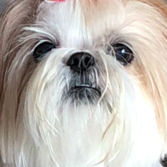 dutchess0507
